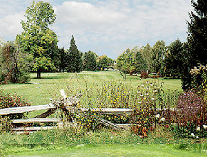 Buttonwood Golf Course