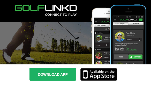 golflinkd_download